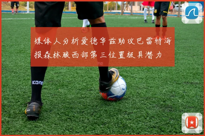 媒体人分析爱德华兹助攻巴雷特海报森林狼西部第三位置极具潜力