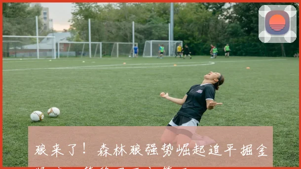 狼来了！森林狼强势崛起追平掘金紧咬火箭稳居西部第五