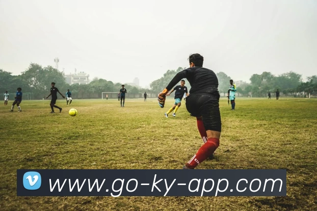 开云平台生态图